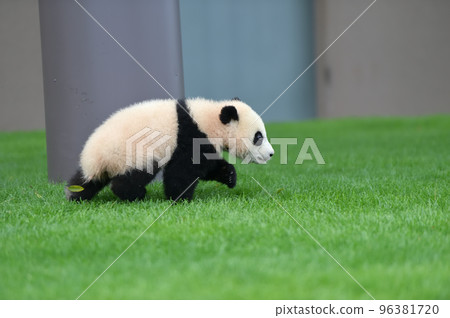 由衣濱奔向吉濱媽媽 96381720