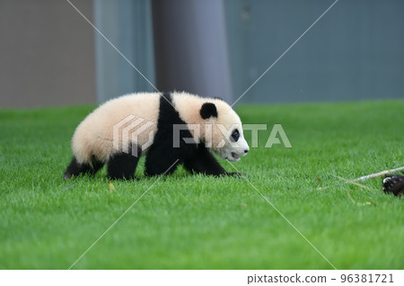 由衣濱奔向吉濱媽媽 96381721