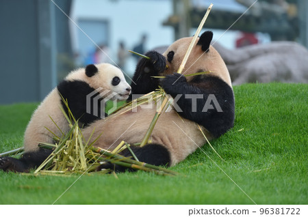 Yuihama 到達好海灘媽媽 96381722