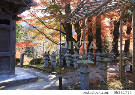Raizan Sennyo-ji Temple Daifu and Ginkgo 96381755