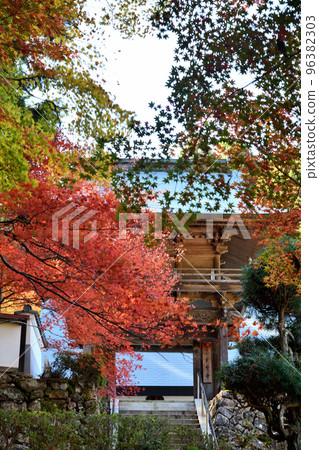 Gyokuunji Temple [Kyotanba-cho, Funai-gun, Kyoto Prefecture] 96382303