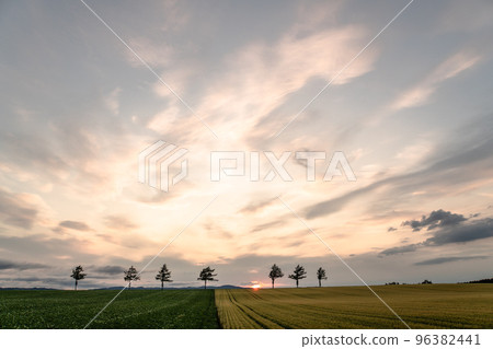 Hokkaido Fairy Tale Hill Ozora Town 96382441