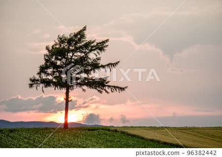 Hokkaido Fairy Tale Hill Ozora Town 96382442