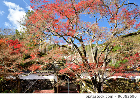 真藏寺（通往正殿/正殿的階梯）[京都府龜岡市] 96382696