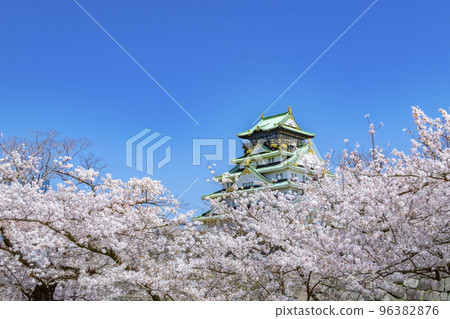 Osaka Castle Sakura Spring Osaka Castle Sakura Spring 96382876