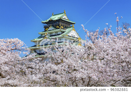 Osaka Castle Sakura Spring 96382881