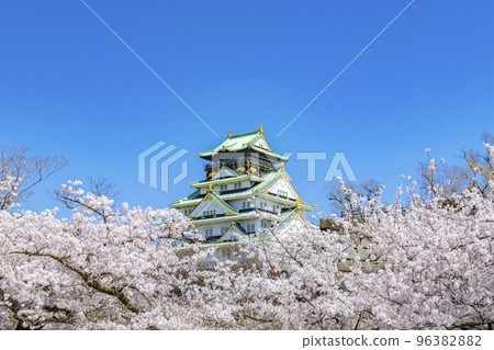 Osaka Castle Sakura Spring 96382882