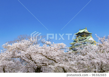 Osaka Castle Sakura Spring Osaka Castle Sakura Spring 96382883