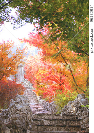 Autumn leaves of Kubota Ichitake Museum Autumn leaves of Kubota Ichitake Museum 96383954