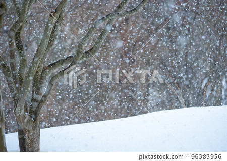 Scenery of falling snow in Satoyama Scenery of falling snow in Satoyama 96383956