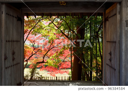 Naishu-ji Temple (Yakuimon) [Kameoka City, Kyoto Prefecture] 96384584