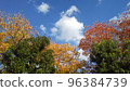 beautiful autumn sky beautiful autumn sky 96384739