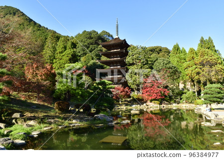 Rurikoji Temple 5 stories and autumn leaves 96384977
