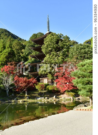 Rurikoji寺5層和秋葉 Rurikoji寺5層和秋葉 96384980