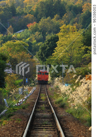 火車被吸入美麗的秋葉中 火車被吸入美麗的秋葉中 96386003