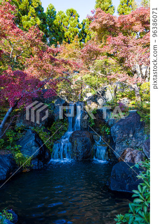 Keihanna Commemorative Park "Suikeien" A small waterfall in Momijidani and bright red maple that colors the top of the waterfall 96386071