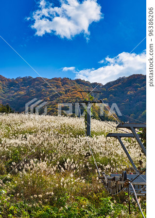 Autumn Leaves - Okuetsu and Kuzuryu 96386206