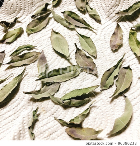 dried sage dried sage 96386238
