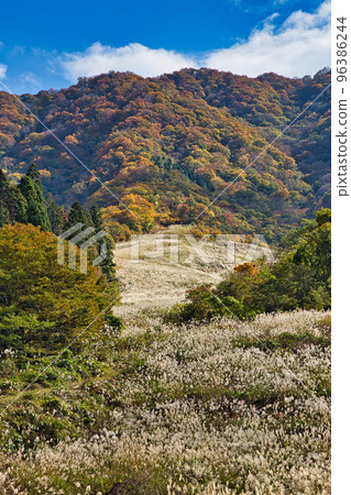 秋葉 - Okuetsu 和 Kuzuryu 96386244