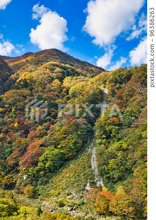 秋葉 - Okuetsu 和 Kuzuryu 96386263