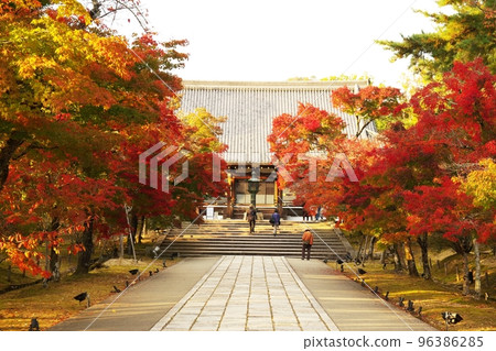 Autumn leaves of Kyoto Ninna-ji Temple 96386285