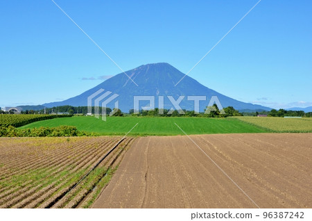 Mt. Yotei, Hokkaido in summer 96387242