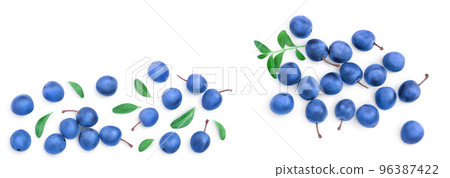 Blackthorn or Sloe berries with leaves isolated on white background with copy space for your text. Top view. Flat lay 96387422