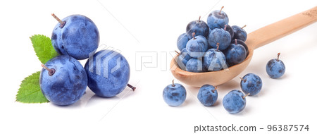 blackthorn berries in a wooden spoon isolated on white background 96387574