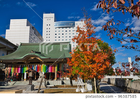 Autumn Leaves - Fukui Prefectural Office Autumn Leaves - Fukui Prefectural Office 96387585