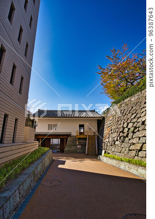 Autumn Leaves - Fukui Prefectural Office Autumn Leaves - Fukui Prefectural Office 96387643