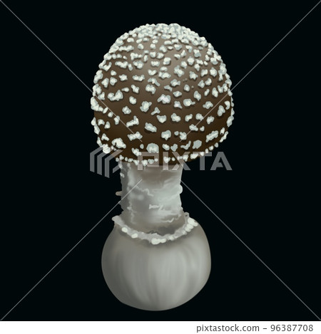 Watercolor grey fly agaric. Realistic fly agaric mushroom. Poisonous mushroom Watercolor grey fly agaric. Realistic fly agaric mushroom. Poisonous mushroom 96387708