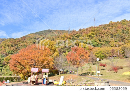 Autumn scenery of Inariyama Park Autumn scenery of Inariyama Park 96388069