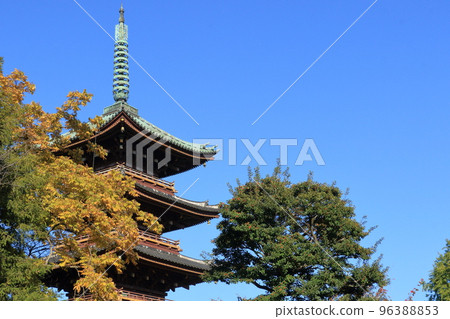 黃葉和五層塔 秋天天空中閃耀的五層塔 日本木造建築 歷史建築 黃葉和五層塔 秋天天空中閃耀的五層塔 日本木造建築 歷史建築 96388853