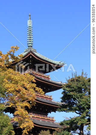 黃葉和五層塔 秋天天空中閃耀的五層塔 日本木造建築 歷史建築 96388854
