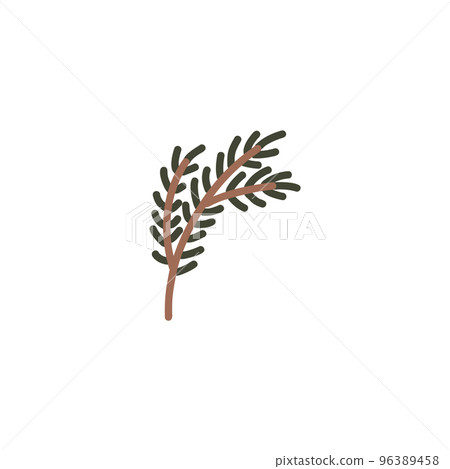 Hand drawn pine tree branch. Green lush spruce branch. Vector doodle illustration 96389458