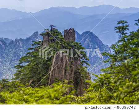 Strange rocks and pine trees in Huangshan, Anhui, China / Huangshan, China Strange rocks and pine trees in Huangshan, Anhui, China / Huangshan, China 96389748