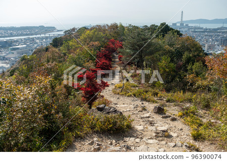 Autumn leaves of Dodantsutsuji in Ako City, Hyogo Prefecture, Japan Autumn leaves of Dodantsutsuji in Ako City, Hyogo Prefecture, Japan 96390074