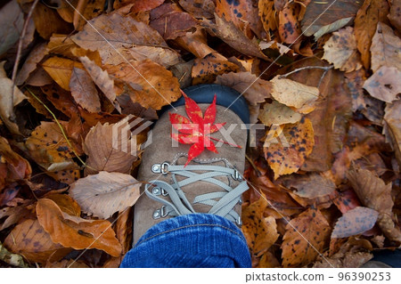 autumn leaves on shoes autumn leaves on shoes 96390253