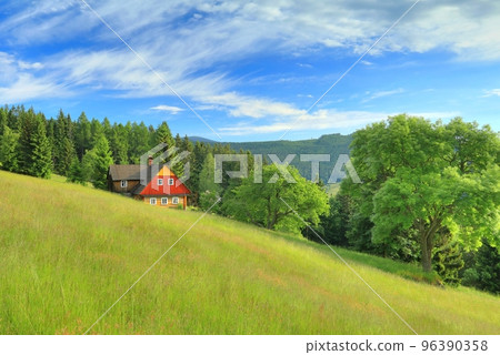 Summer landscape with cottage on mountain meadow Summer landscape with cottage on mountain meadow 96390358