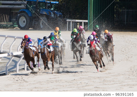 Horse race 96391165