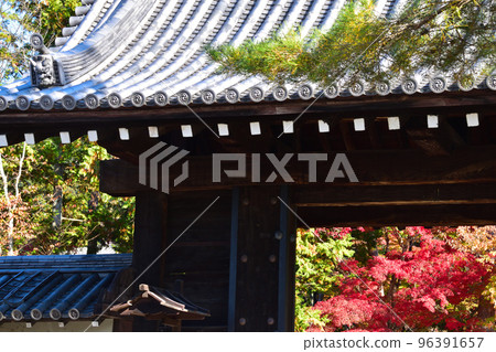 Autumn Nanzenji Chumon 96391657