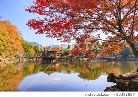 Nara Park Ukimido in full of autumn colors Nara Park Ukimido in full of autumn colors 96391697