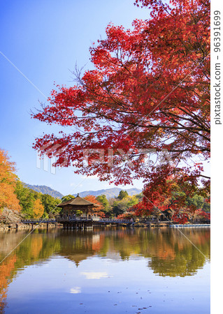 充滿秋色的奈良公園浮見堂 96391699