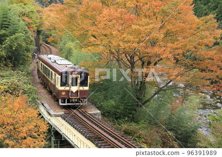 Watarase Keikoku Railway "Autumn leaves in the mountains and a train running along the Watarase River" 96391989