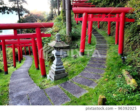 Torii 96392025