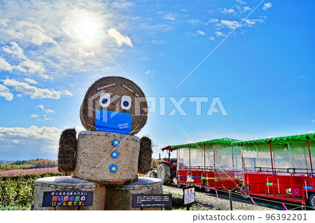 Hill of Shikisai Aya Hokkaido Biei-cho 96392201