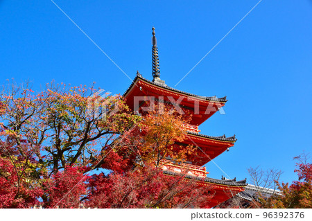 秋季清水寺三層塔 96392376