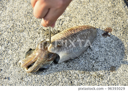 tighten the squid tighten the squid 96393029