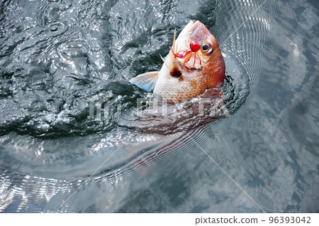 Tyraba 和 Tai Tyraba 和 Tai 96393042