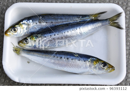 魚餌用沙丁魚 96393112
